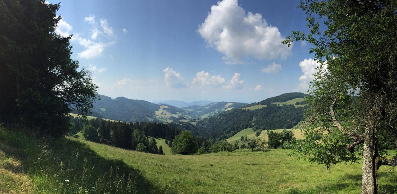 Gasthof Gutmann Eberstein Dış mekan fotoğraf